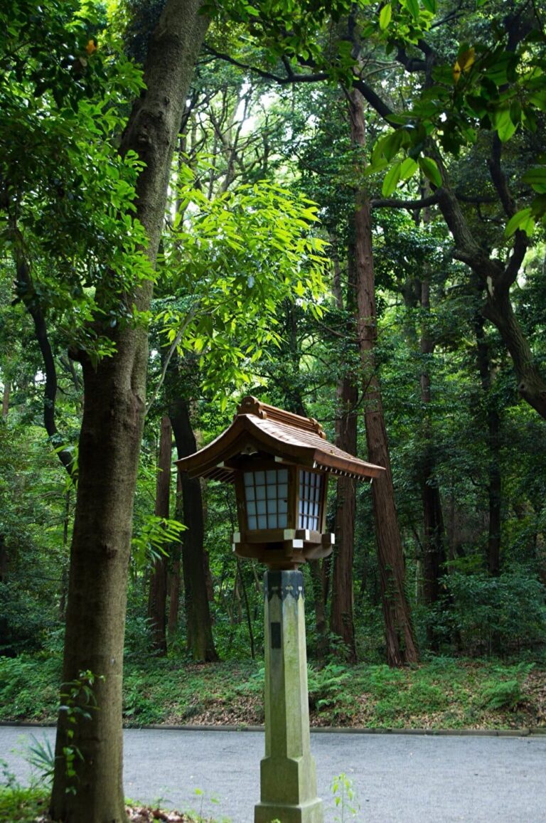 Japanese lanterns in the forest.　出典：123rf