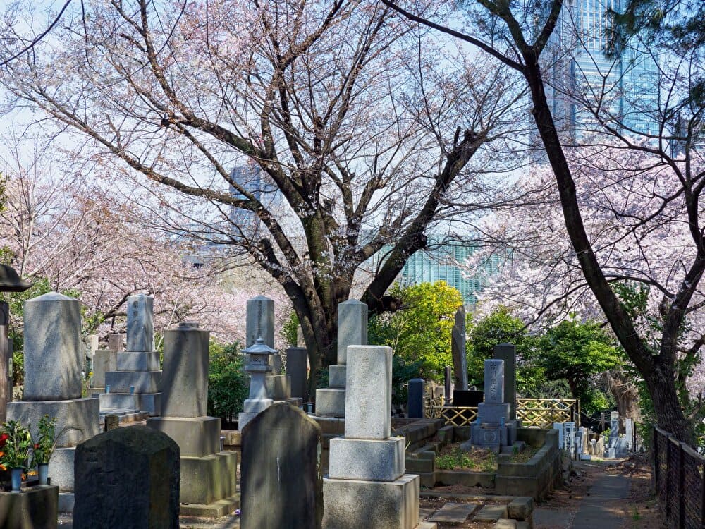 Japanese tomb and Cherry blossoms.　出典：123rf